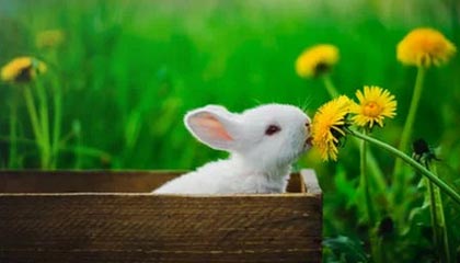 Pick，成功限制对手核心！