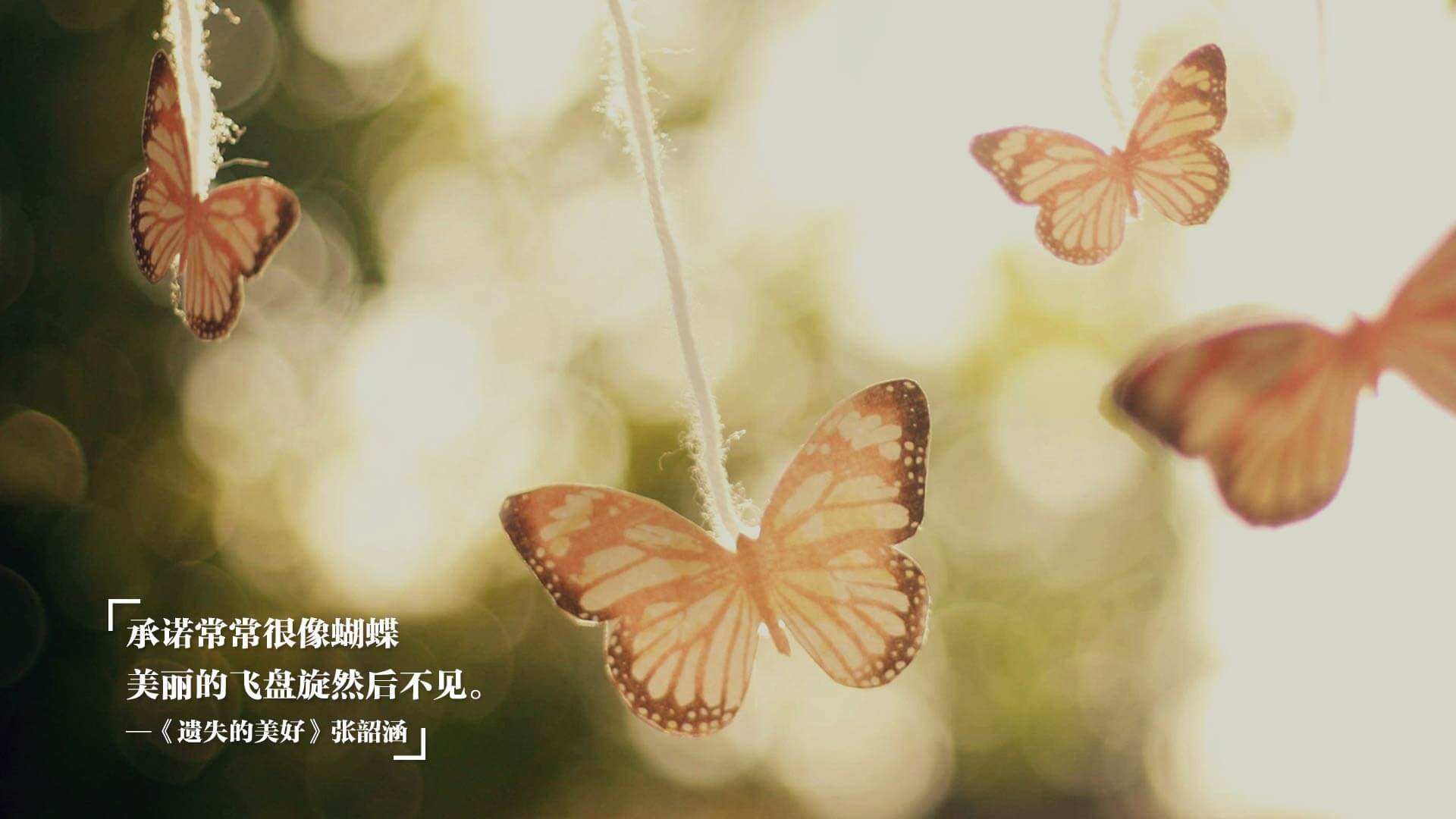 开云官网登录-“尼克斯球迷狂欢，主场迎来关键胜利”，尼克斯大牌球迷