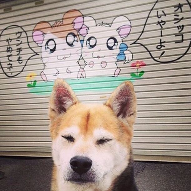 国王主教练亲临高中校园,进行公益训练营,国王队主教练沃顿好吗