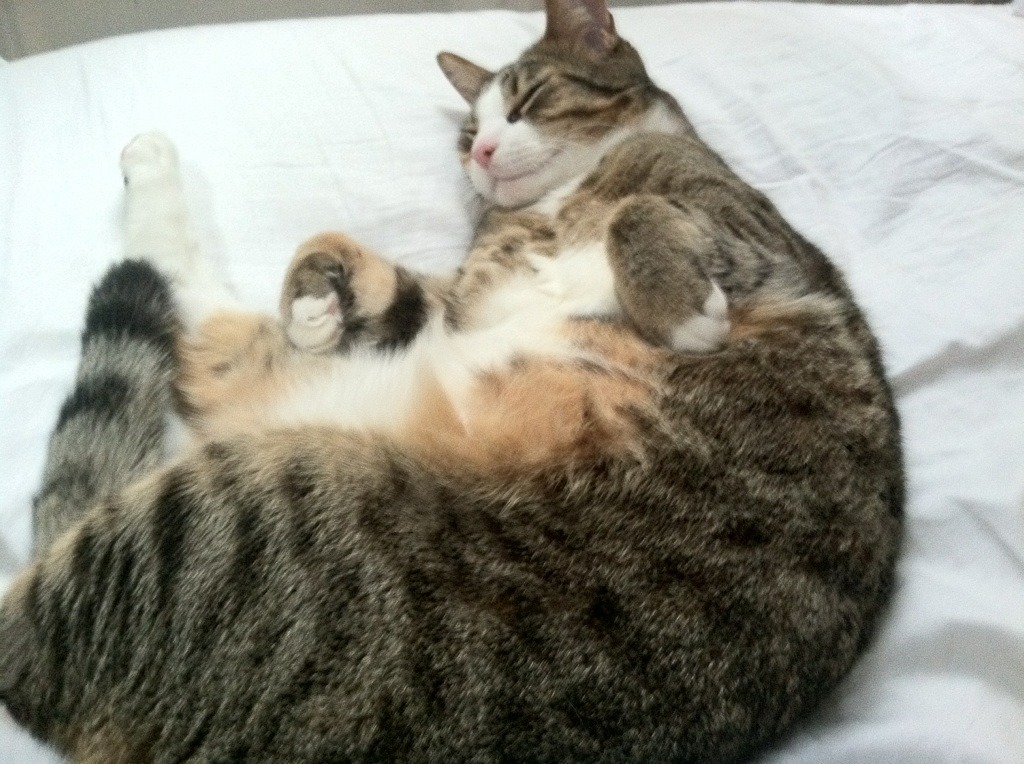 赛事奖品丰富:吸引更多运动员参与,比赛奖品清单