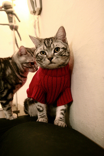 巴希尔·阿卜迪在马拉松比赛中获得银牌,巴希尔阿布迪