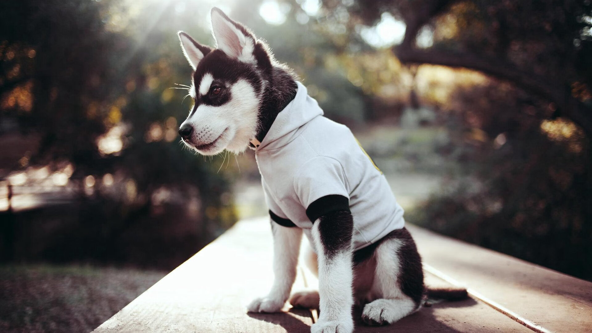 开云中国-赫塔菲备战下轮对阵皇家社会的比赛，赫塔菲vs皇家马德里预测