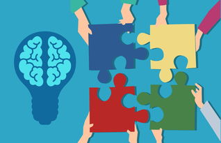 Kaiyun(中国)开云-中小学课程内容创新，中小学创新教育