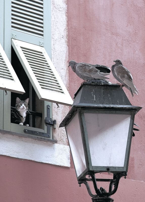 国足年度替补球员得分参与率统计,国际足球替补人员的人数是多少