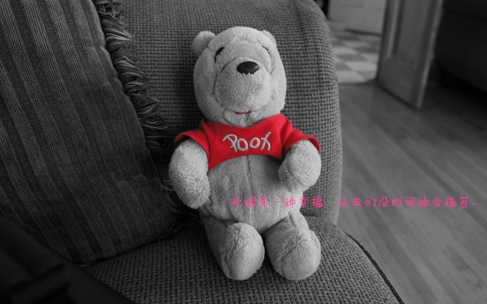 归来巨星：退役球员重新登场的精彩瞬间，退役球员复出