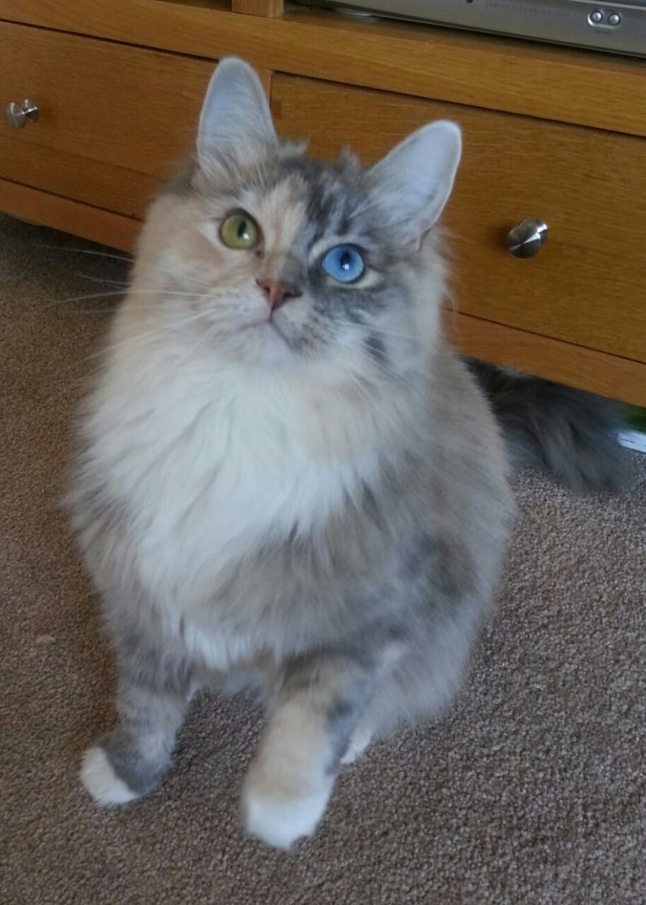 新闻中心推进供应链整合,供应链相关新闻