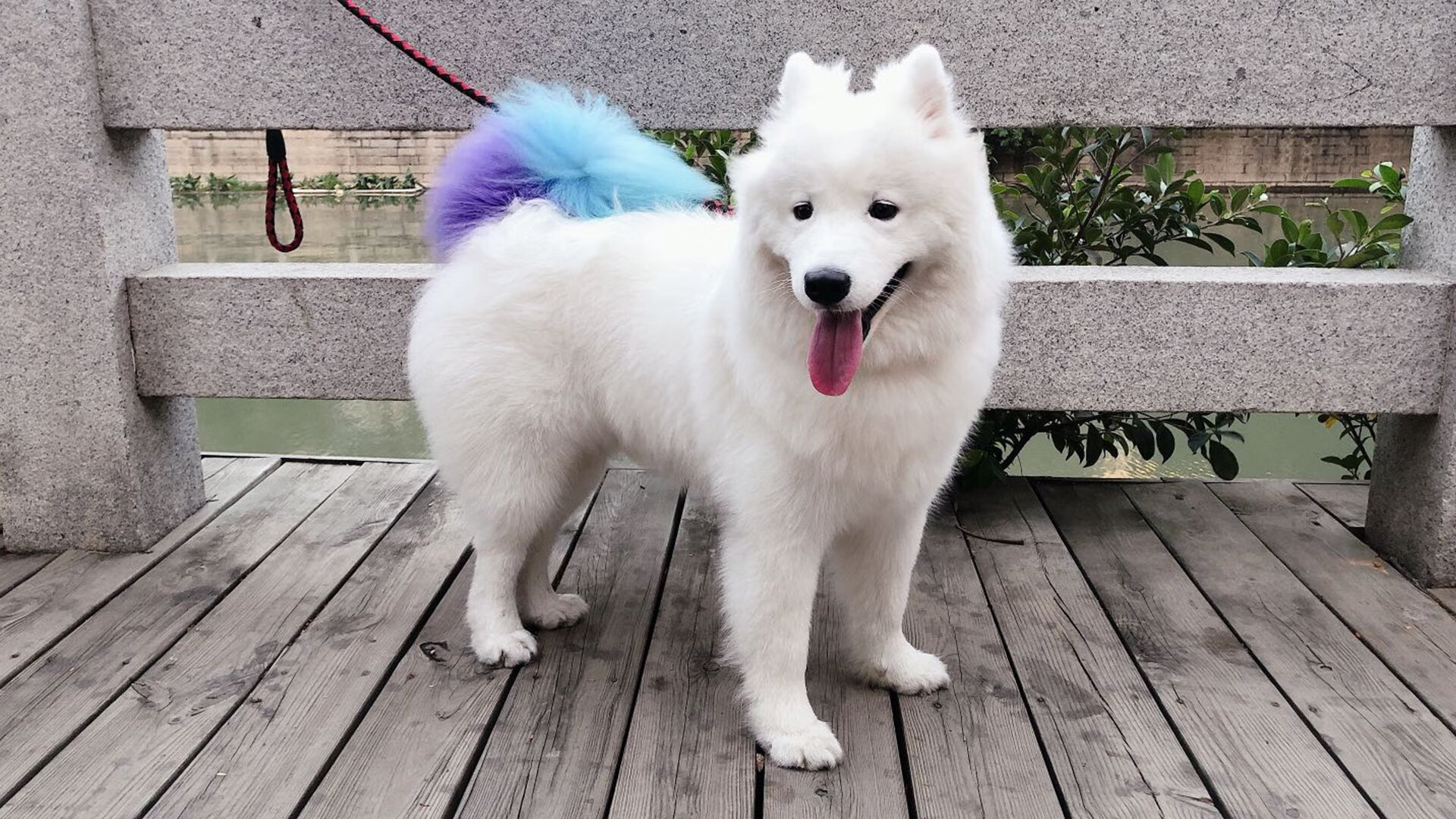 kaiyun官方入口登录-法甲球队通过数据可视化辅助战术决策实证分析