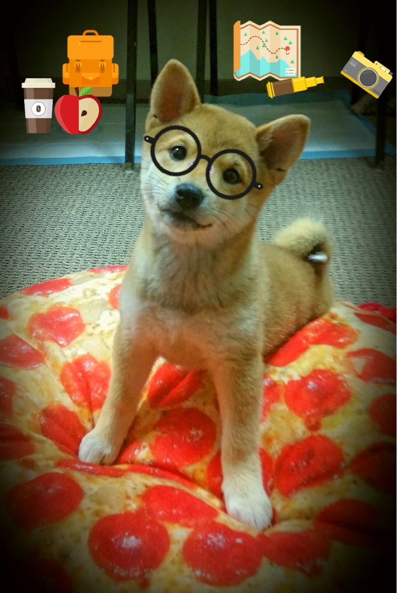 KAIYUN 中国大陆-英超“榜首 showdown”：曼城与阿森纳争锋，赛季走向是否会改变？