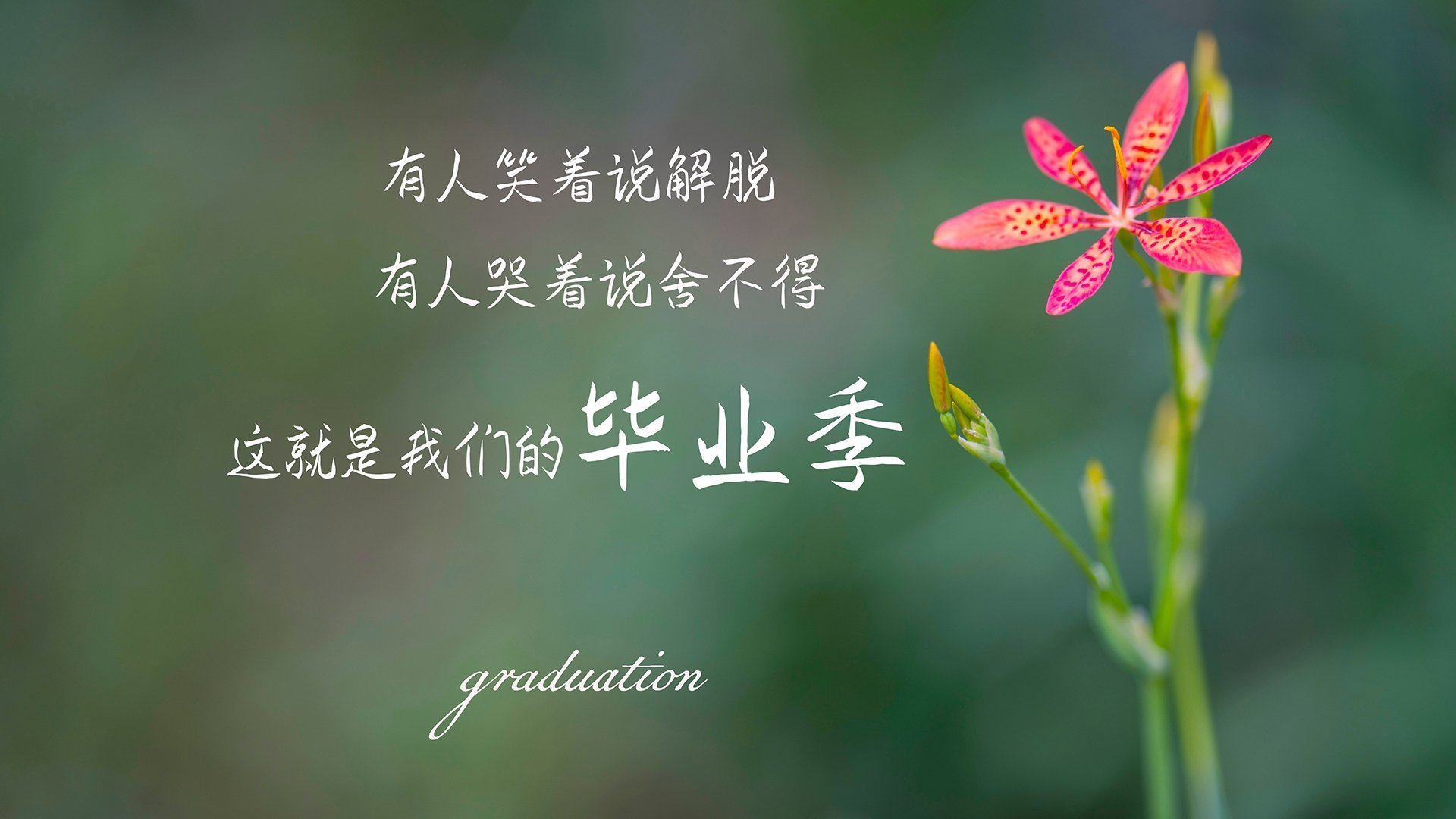 中国女篮加强防守反击 打造坚固防线，中国女篮真棒