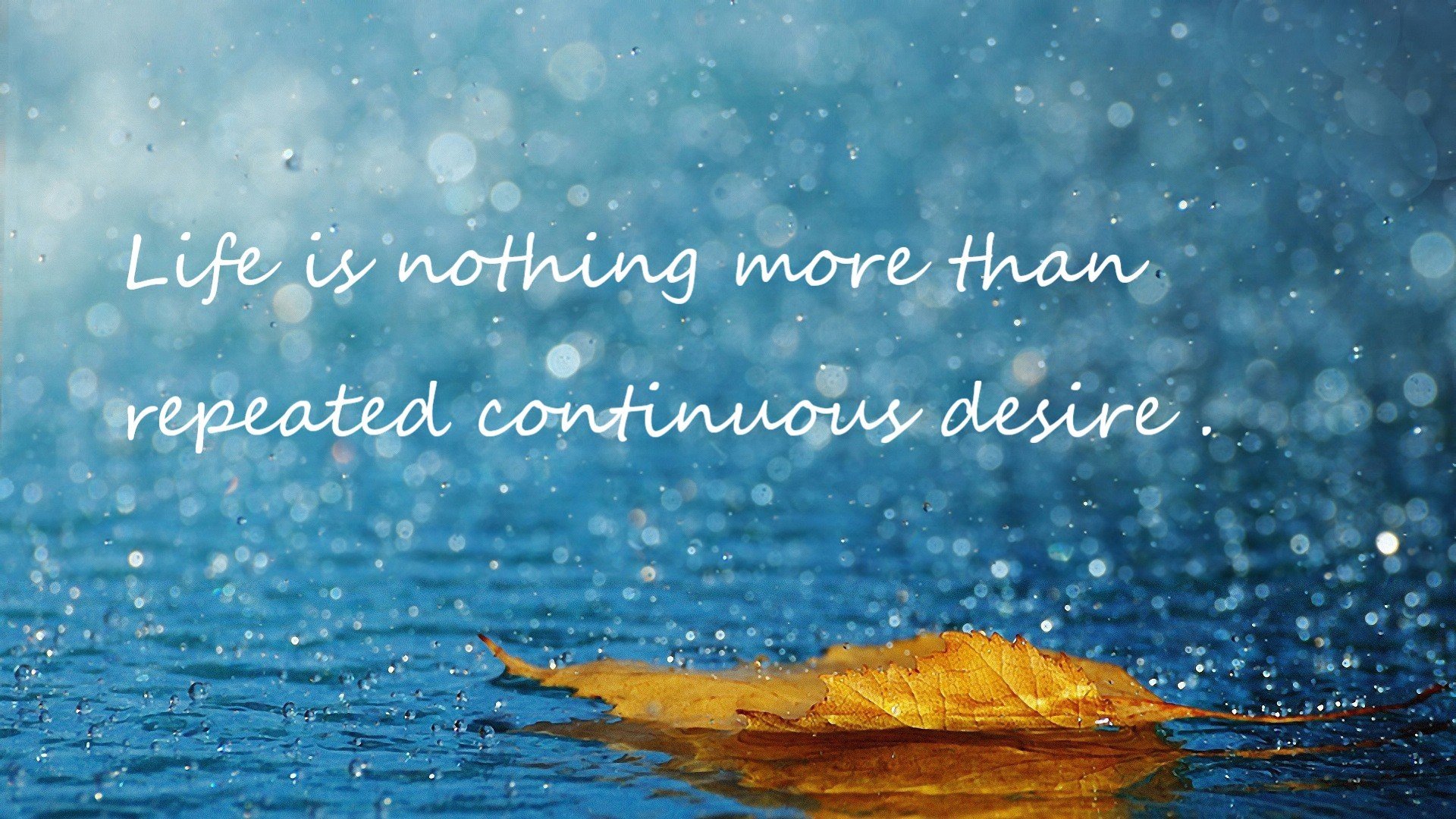 kaiyun 开云体育-德国蛙泳技术细腻 成绩稳步提升，德国游泳名将